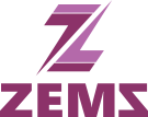 ZEMS Institute