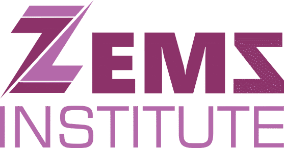 ZEMS Institute